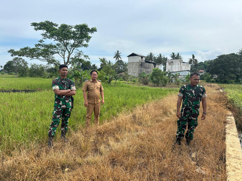 Kunjungan Pemerintah Desa Sekerat ke Persawahan Bersama BPD dan Yonif TP 879/RC