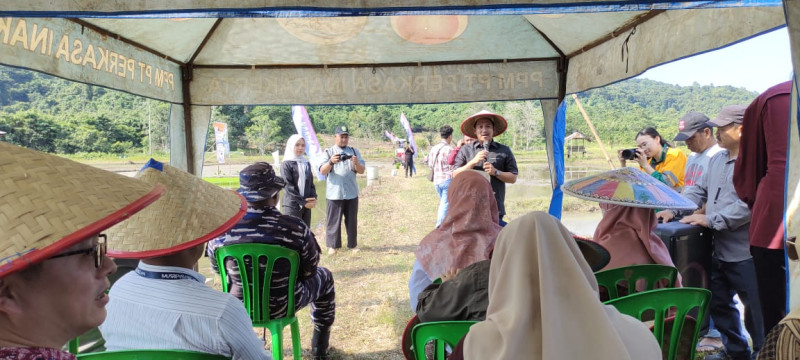 Pemerintah Desa Sekerat dan Kelompok Tani Tirta Jaya  Penanaman Padi Sawah  Dalam Rangka Festival Sekerat Nusantara IV Tahun 2025