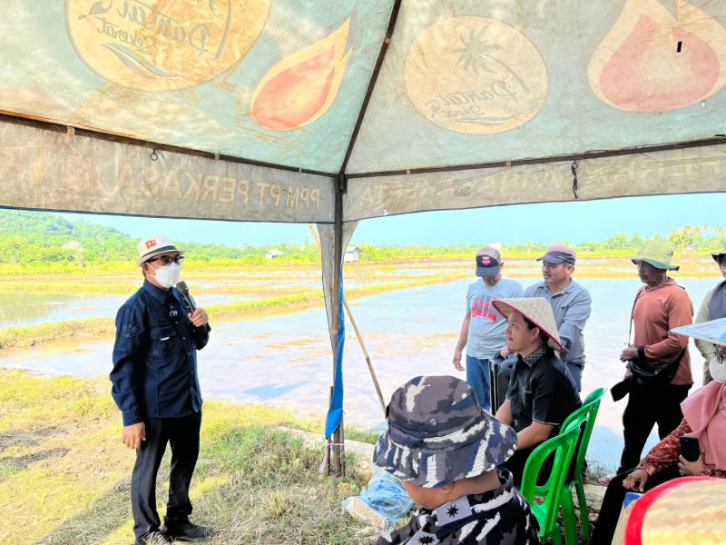 Panen Padi Sawah  "..Wujud Ketahanan Pangan dari Desa untuk Bangsa.."