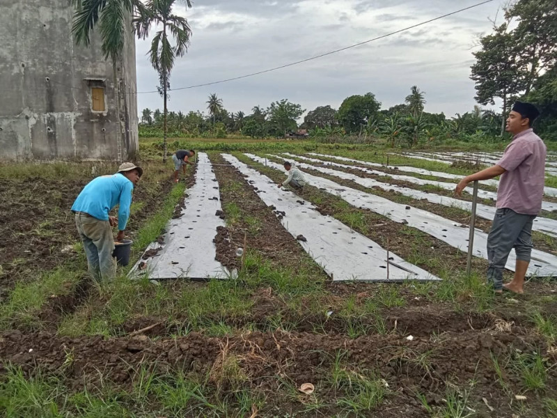 "Semangat Petani Tirta Jaya" ( 5 November 2025)